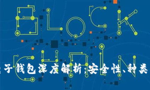 数字货币电子钱包深度解析：安全性、种类及使用指南