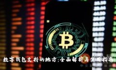 数字钱包支持的地方：全面解析与使用指南