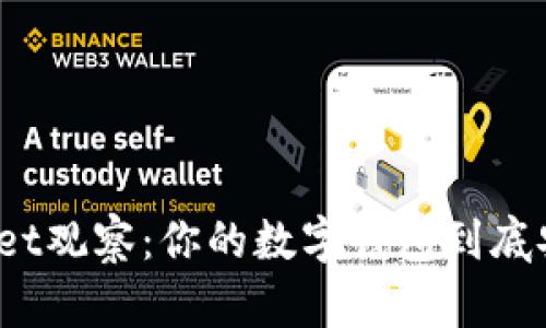 tpWallet观察：你的数字钱包到底安全吗？