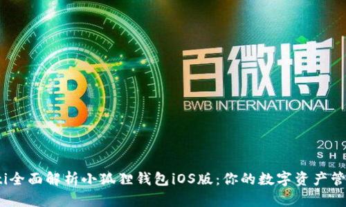biasoti全面解析小狐狸钱包iOS版：你的数字资产管理助手
