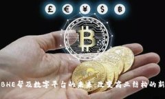 探索BHE帮及数字平台的未来：改变商业结构的新