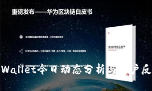 tpWallet今日动态分析与用户反馈