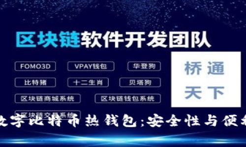 全面解析常用数字比特币热钱包：安全性与便利性的完美平衡