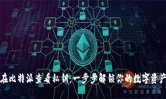 如何在比特派查看私钥：一步步解锁你的数字资