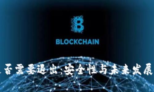 tpWallet是否需要退出：安全性与未来发展的深度分析