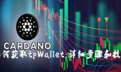 如何获取tpWallet：详细步骤和技巧