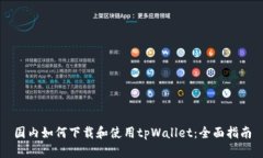 国内如何下载和使用tpWallet：全面指南