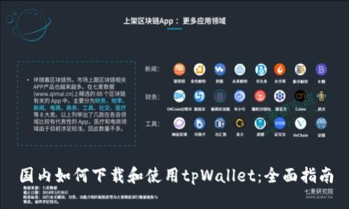 国内如何下载和使用tpWallet：全面指南