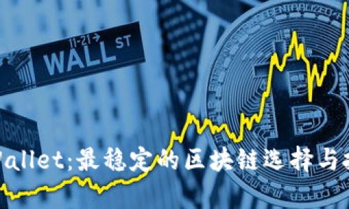 探讨tpWallet：最稳定的区块链选择与投资策略