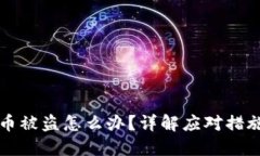 TP钱包授权币被盗怎么办？详解应对措施与安全防