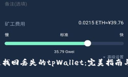  如何快速找回丢失的tpWallet：完美指南与实用技巧
