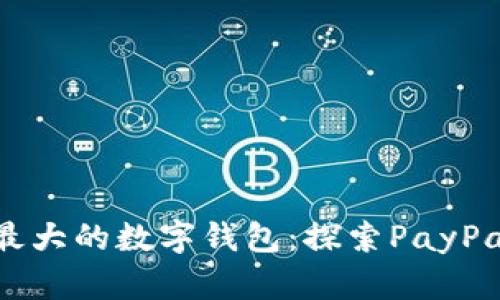 美国最大的数字钱包：探索PayPal之路