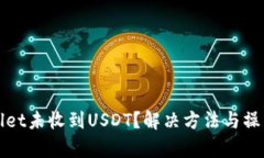 tpWallet未收到USDT？解决方法与操作指南