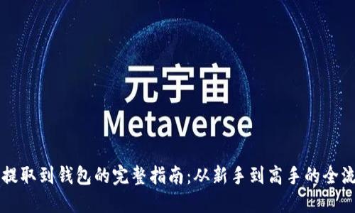 虚拟币提取到钱包的完整指南：从新手到高手的全流程解读