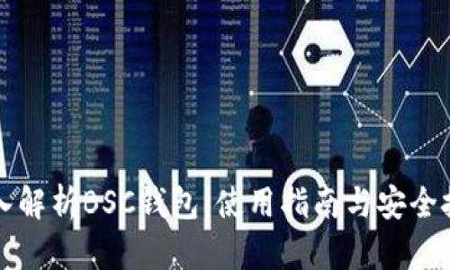 深入解析BSC钱包：使用指南与安全技巧