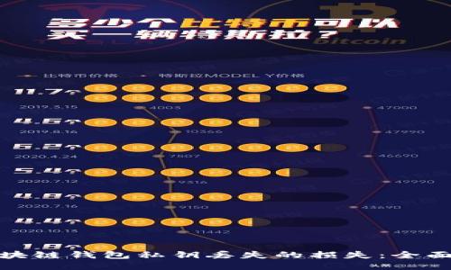 如何挽回区块链钱包私钥丢失的损失：全面指南与策略