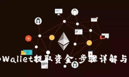 如何从tpWallet提取资金：步骤详解与注意事项