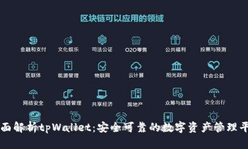 全面解析tpWallet：安全可靠的数字资产管理平台