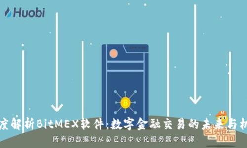 深度解析BitMEX软件：数字金融交易的未来与机遇