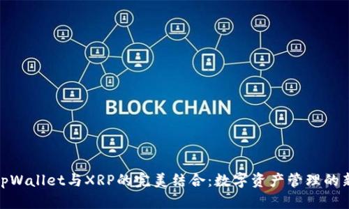 探索tpWallet与XRP的完美结合：数字资产管理的新选择