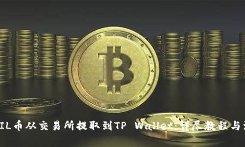 如何将FIL币从交易所提取到TP Wallet：详尽教程与注意事项