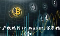 如何将OKEx资产提现到TP Wallet：详尽指南与操作步
