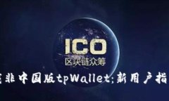 如何安全下载非中国版tpWallet：新用户指南与使用