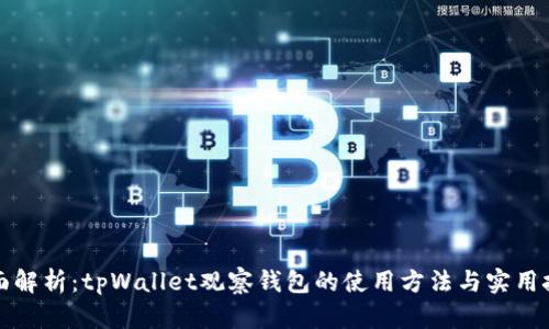 全面解析：tpWallet观察钱包的使用方法与实用技巧