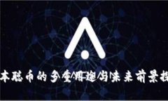 中本聪币的多重用途与未来前景探讨