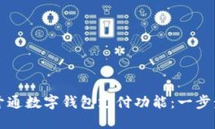 如何开通数字钱包支付功能：一步步指南