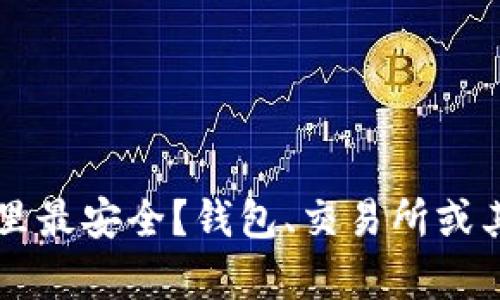 虚拟币存放在哪里最安全？钱包、交易所或其他选择的全解析