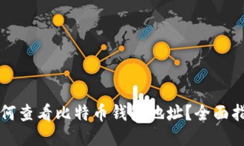 如何查看比特币钱包地址？全面指南