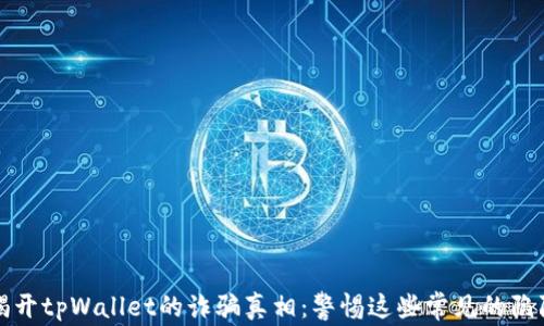 
揭开tpWallet的诈骗真相：警惕这些常见的陷阱